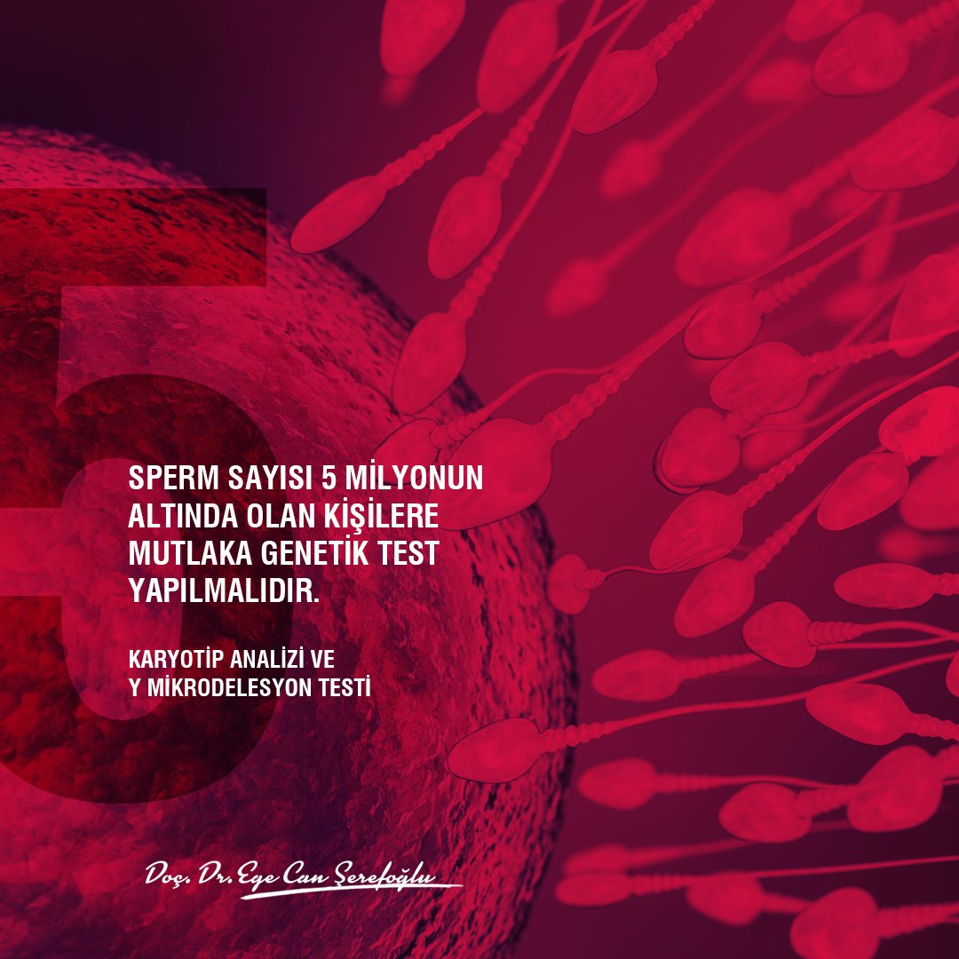 drserefoglu's tweet photo. #genetiktest #sperm #androloji #drserefoglu #infertilite https://t.co/e2ACIRAcIl