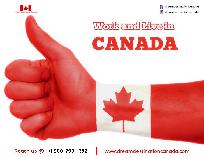 DreamDestnation's tweet photo. One of the easier ways to get Permanent Residency in Canada.
Contact us to know more:
Globe: + 18007951352
URCS: contact@dreamdestinationcanada.com
visit us : https://t.co/Whtbmqof9z
#dreamdestinationcanada https://t.co/xVm3dLqAix