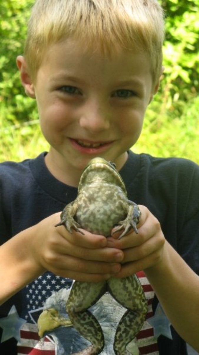 LizardMain's tweet image. How is this kid already 16? Love you Nick!!