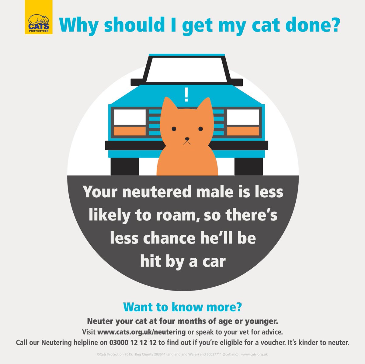 CPMidKent's tweet photo. Reason 4 to Neuter:

Your neutered male is less likely to roam, so there's less chance he'll be hit by a car

#catsprotection #spayandneuter https://t.co/5uOWUji0r0