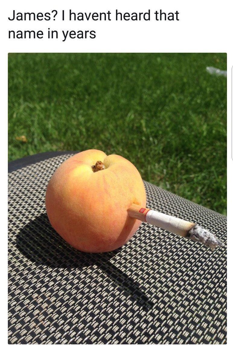 BanditandButler's tweet image. We're not always silly at Bandit &amp;amp; Butler, but when we are, we do it right.
#sillythursdays #nearlytheweekend #alaughadaykeepsthebluesatbay #peachy