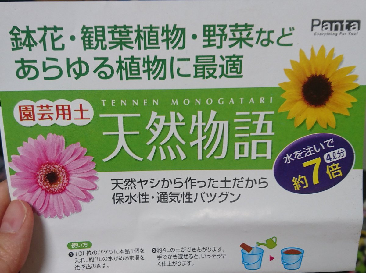100均の園芸土の評判は キノコや虫が湧く ダイソー セリア イマコレ 今 ホットな話題はなによ
