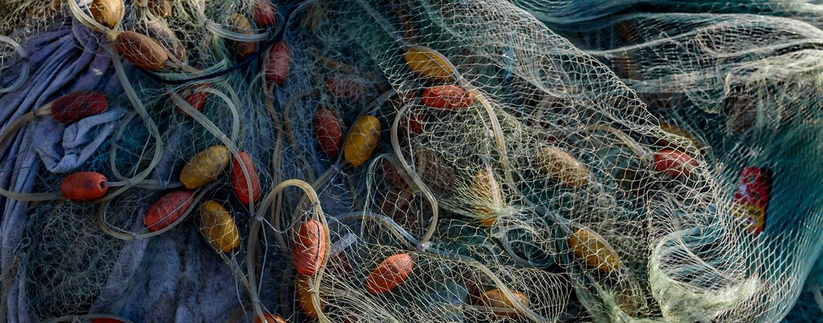 MK_Pandey's tweet photo. #Govt imposes ADD of $2.69/kg on fishnet #Imports from #China  #Bangladesh
https://t.co/PZklmfQ8K7 https://t.co/FwGkvxnJn8