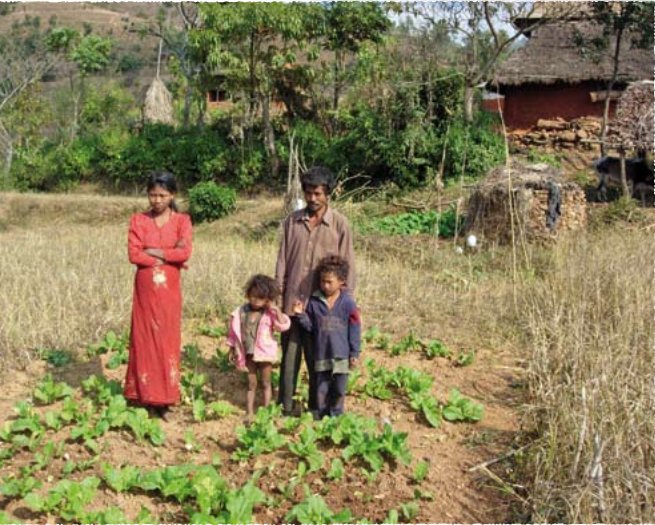 In rural Nepal, people may not only be poor, but also belong to a low caste group. Home gardens offer them food, a greater sense of dignity and respect from others...goo.gl/TNJvwG

#agroecology #foodsecurity