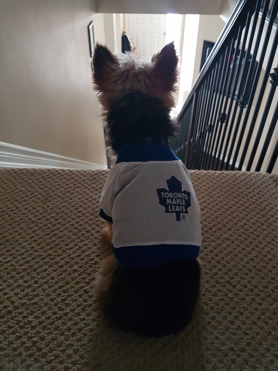AndrewFergusonn's tweet photo. #HumboldtStrong #jerseysforhumboldt https://t.co/WxL8zw7I5u
