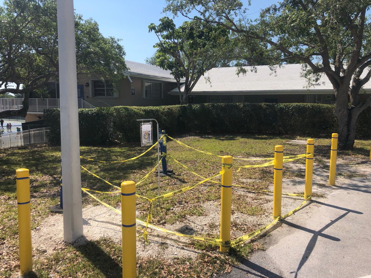 Nesting killdeer bird protected and interpreted. Gulliver students one step closer to nature #gslearning