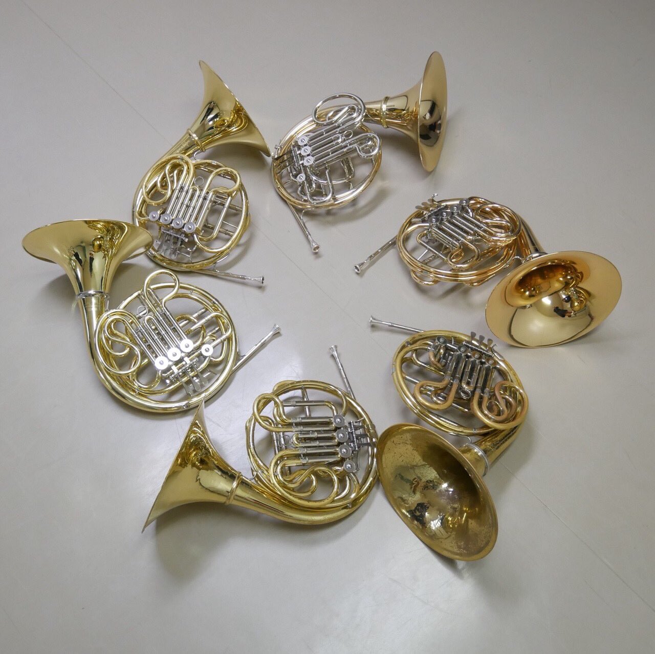 Ycwo Official Horn ホルンパートです 見た目はぐるぐるしてて可愛いホルン いつもは優しい音を奏でますが たまに見せる勇ましい音のギャップにハマること間違いなし 6人で毎日わちゃわちゃしてます 私たちと一緒にホルンライフを送り