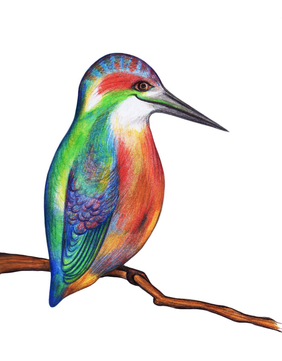 YElkassova's tweet photo. @lynnpo Hi Lynn, sounds great. Here are some cute animals, plus you can see more of my work at https://t.co/4DRH99p1ay Thanks! https://t.co/mWpu635ODc