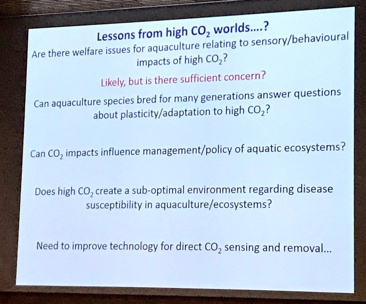 Professor Jodie Rummer tweet media