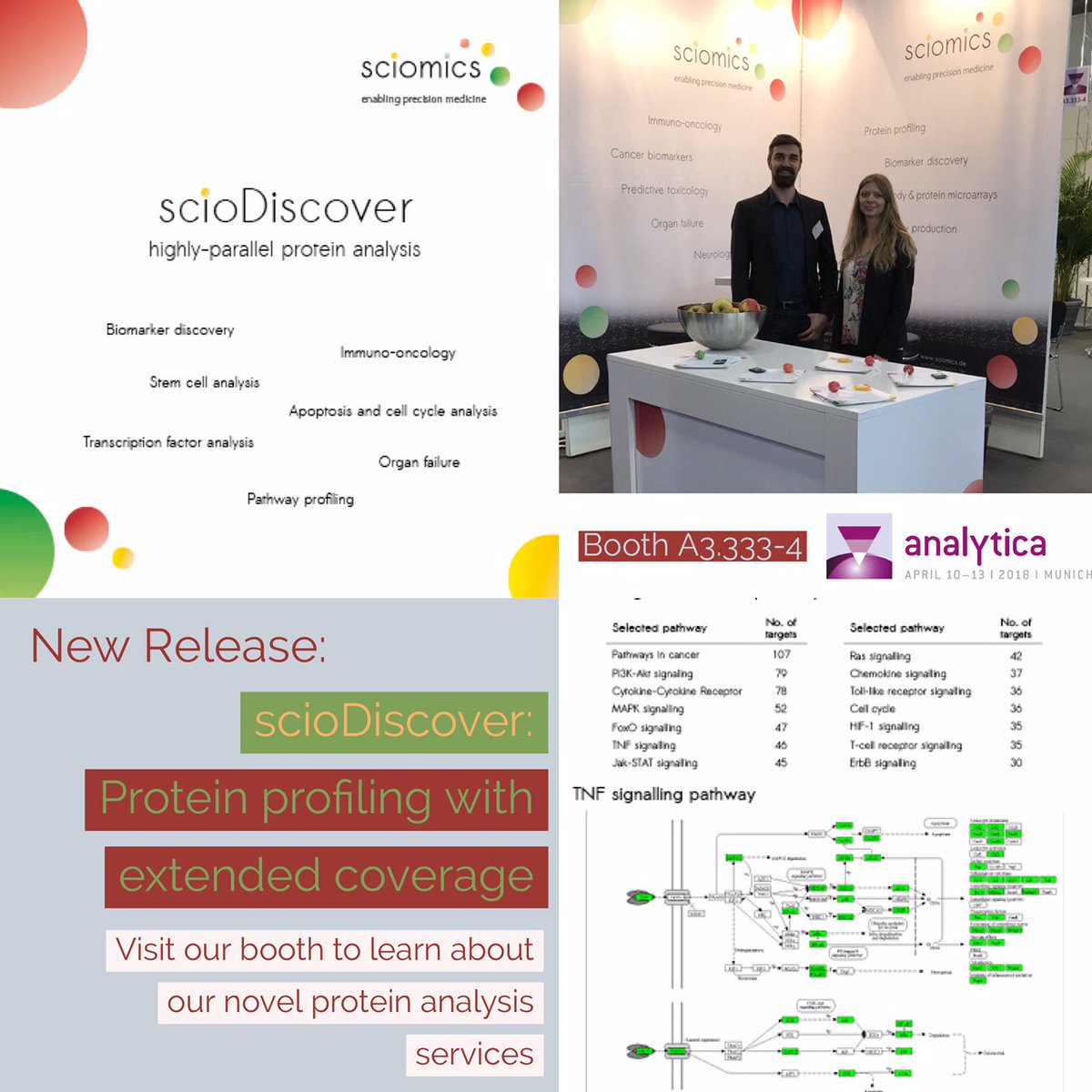 Visit our team at #analytica2018 to learn about the recent extension of our scioDiscover service.
Now 1030 proteins are analysed in parallel among them 107 proteins in  Pathways of Cancer, 393 proteins involved in #CellDifferentiation, 265  proteins involved in #ImmuneResponse...