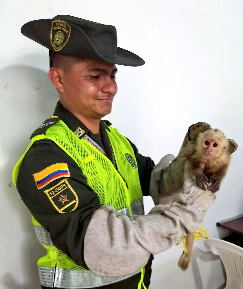 Policía Metropolitana de Bucaramanga tweet media