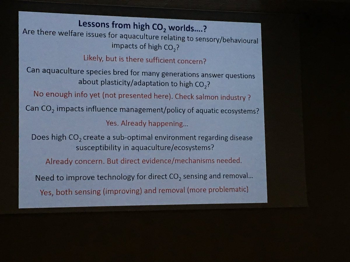 Susan Fitzer tweet media