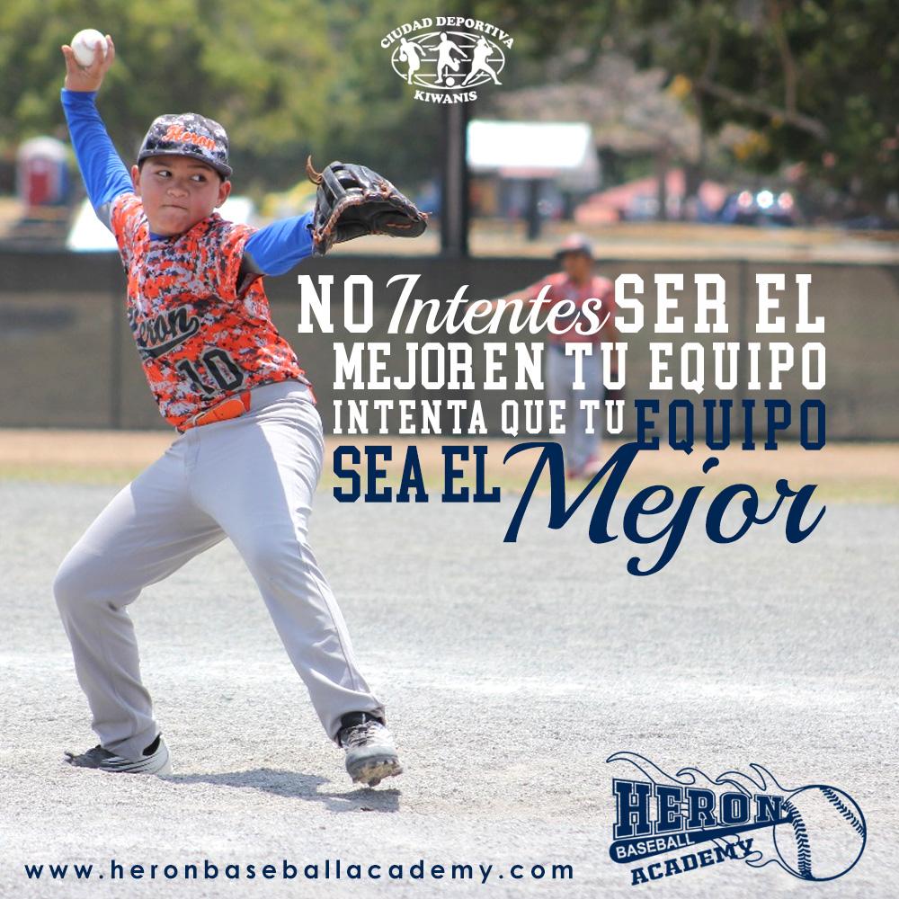 heronbaseballacademy tweet media