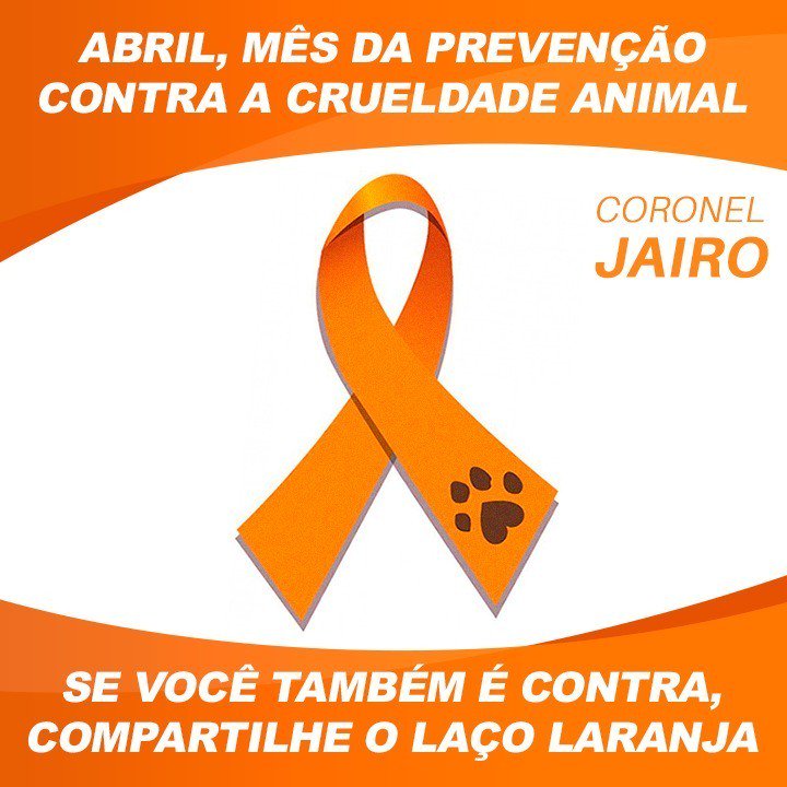 depcoroneljairo's tweet photo. Infelizmente ainda muitos peludos são maltratados. Para tentar mudar essa realidade o mês de Abril foi escolhido como sendo o mês de prevenção da crueldade contra os animais.
Não podemos aceitar a crueldade animal.
#abrillaranja #contraacrueldadeanimal https://t.co/wvyzHZdrIi