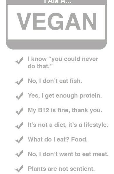 VeganAddicted's tweet photo. I am vegan https://t.co/UvqAHluhb2