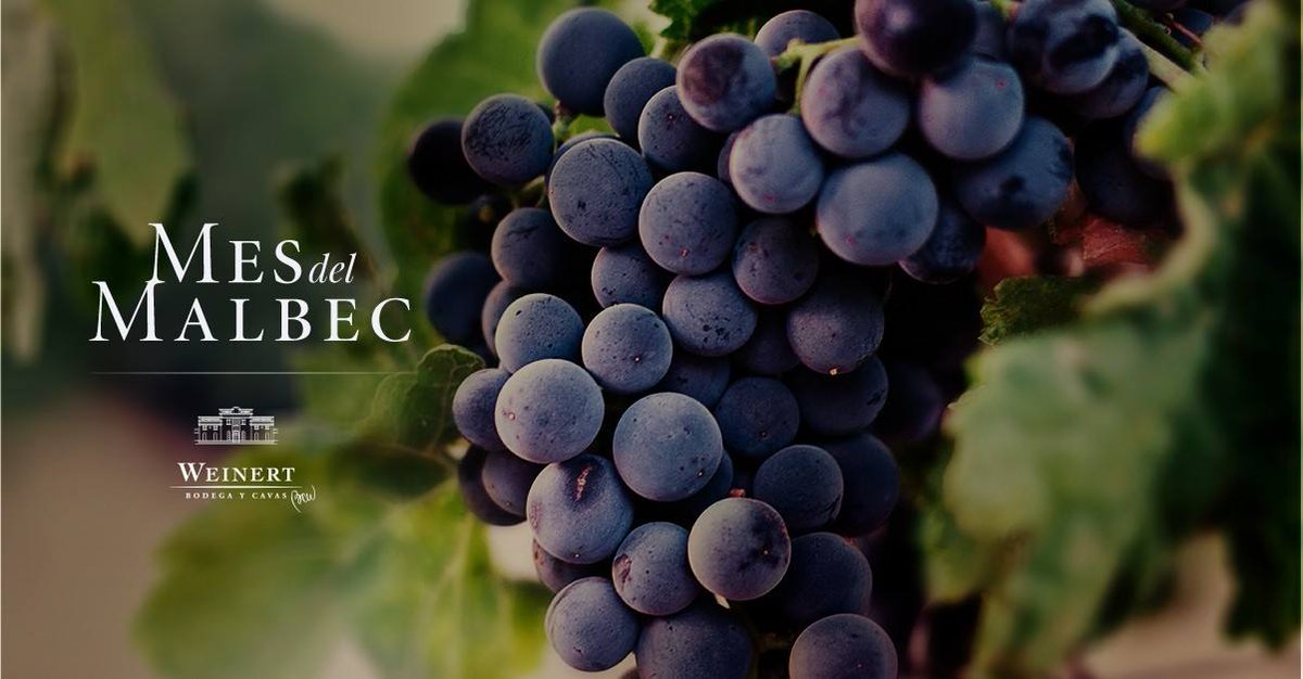 🍷 Sábado 14 - <a href="/CelebraMalbec/">Celebrando al Malbec</a>
🌎 #Mendoza, Hotel Esplendor Complejo Arenas Maipu. <a href="/EsplendorH/">Esplendor Hoteles by Wyndham</a> Degustación de 15 malbec, donde habrá enólogos y sommeliers.