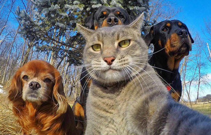 Baykaraca yönetmen (@baykaraca) on Twitter photo 