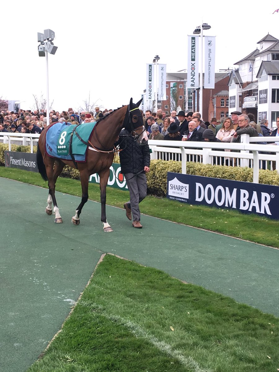 JJMSports's tweet photo. Bae on her toes in the parade ring here at Aintree #ApplesShakira https://t.co/xChWOTG9HU