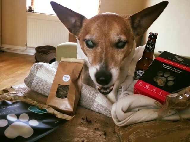 PLANPOOCH's tweet photo. Well done to Sarah Horne and her handsome fur baby who won our Easter box! We are glad he loves it! ❤️ 🐰 🥚 🐶 #dogs #blinddogs #rescue #dogoftheday https://t.co/Sxau9Yn6ep