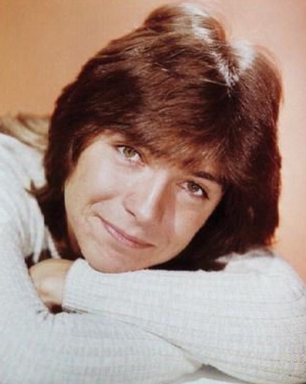 Happy Birthday David Cassidy - if you grew up with his poster on your wall 