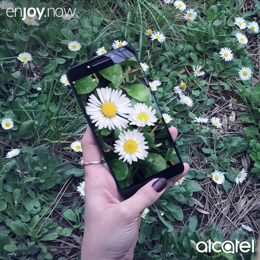 alcatelmobileTR's tweet image. Baharın en güzel detaylarını Alcatel A5 LED’le keşfedin.
#Alcatel #A5LED #EnjoyNow