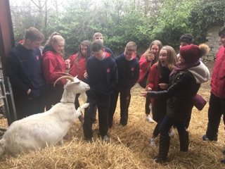 ratoathcollege's tweet image. Second years are having a brilliant day on their Geography trip to @CauseyFarm #JCGeography