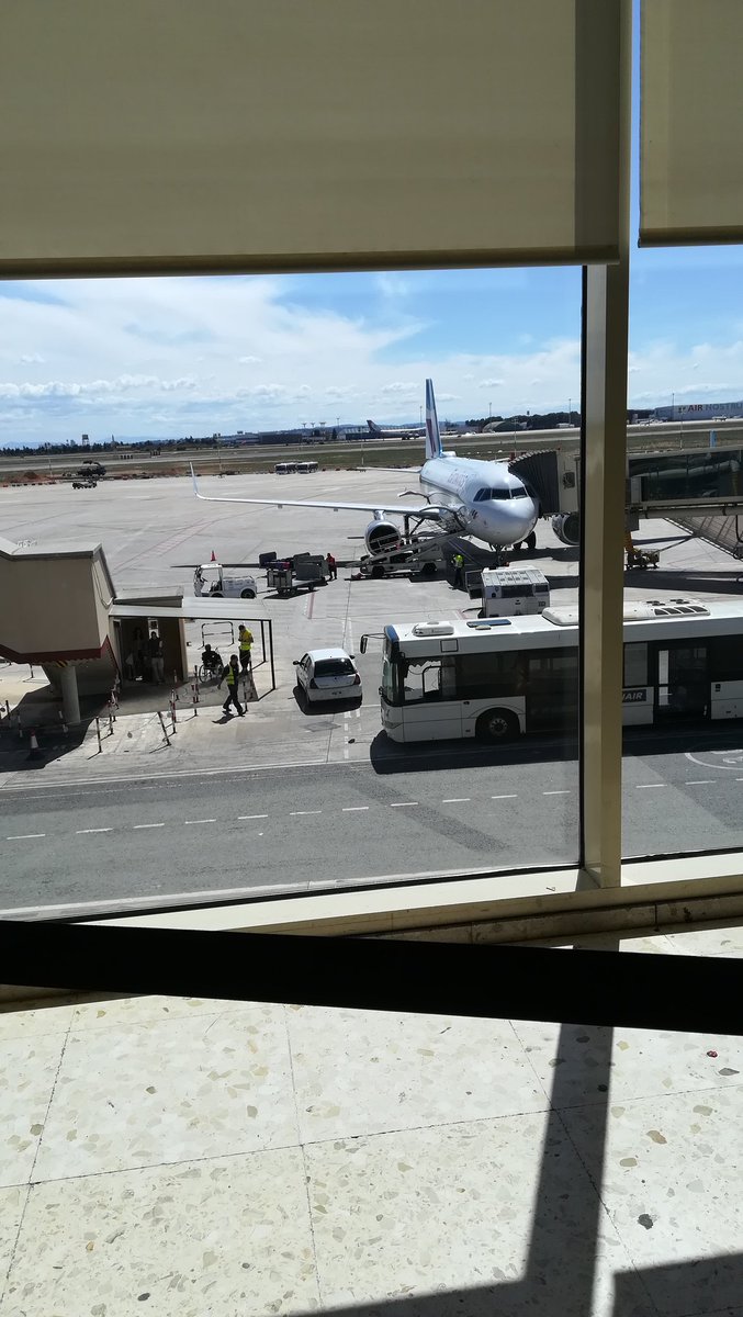 A l'aeroport direcció Venècia i res millor que pasar el vol amb aquest super llibre!!  #lashijasdelagua #Somosdeagua <a href="/SandraBarneda/">Sandra Barneda</a>