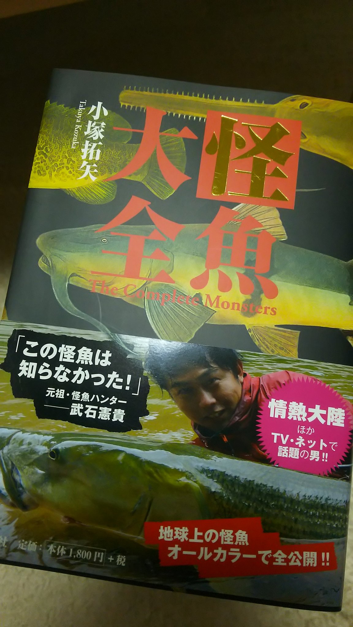 怪魚大全 Twitter Search Twitter