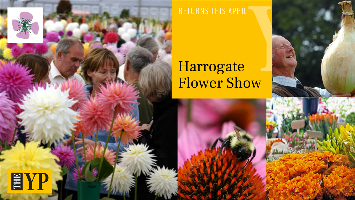 YP44820225's tweet photo. This April the Harrogate Flower Show returns! Find out what'll be going on and how to get tickets now: https://t.co/dhOaBEP8U8 https://t.co/TJkc627964