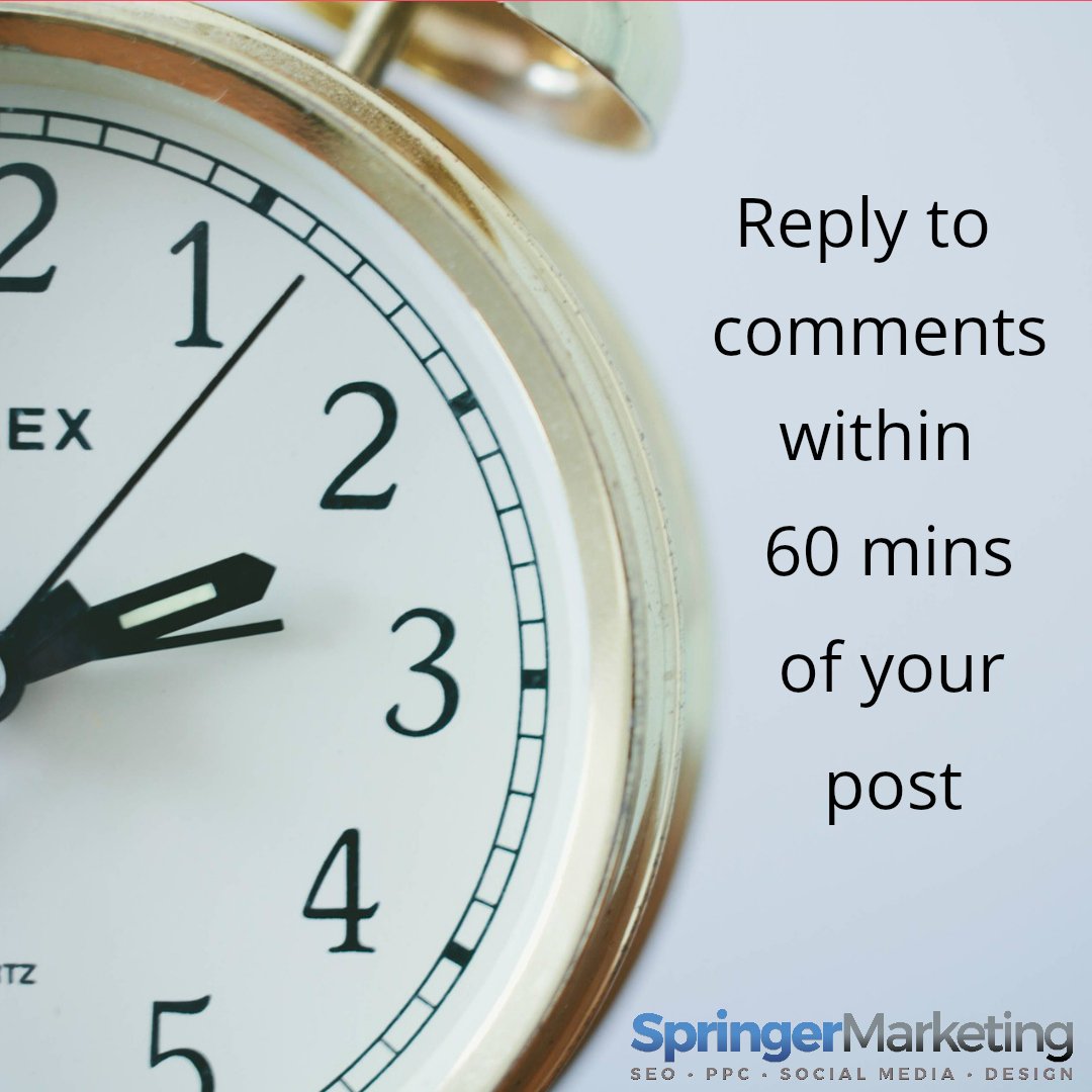 SpringerDigital's tweet photo. Your posts and content will be rewarded on social media platforms if you reply to any comments within 60 minutes of your post. Engage with your followers...it's social media, so be social! #digitalmarketing #socialmediatips #Marketing #business #socialmedia https://t.co/D7oihqohzX