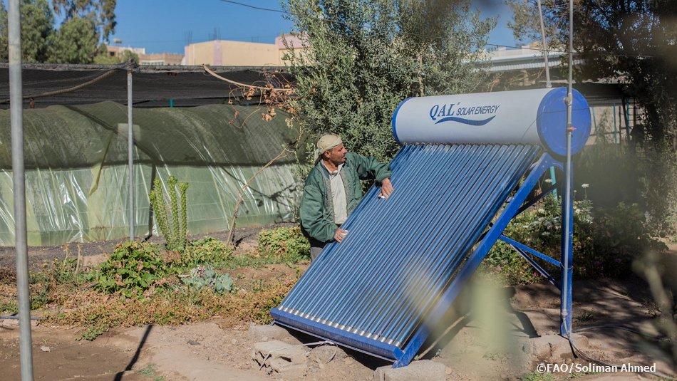☀️Los sistemas de #riego con #EnergíaSolar son una #tecnología respetuosa con el clima asequible para pequeños agricultores.
💧FAO orienta sobre cómo aprovechar al máximo las innovaciones y evitar desperdicio #agua➡️bit.ly/2qrWstz   
#SolarTech #EnergíaSostenible