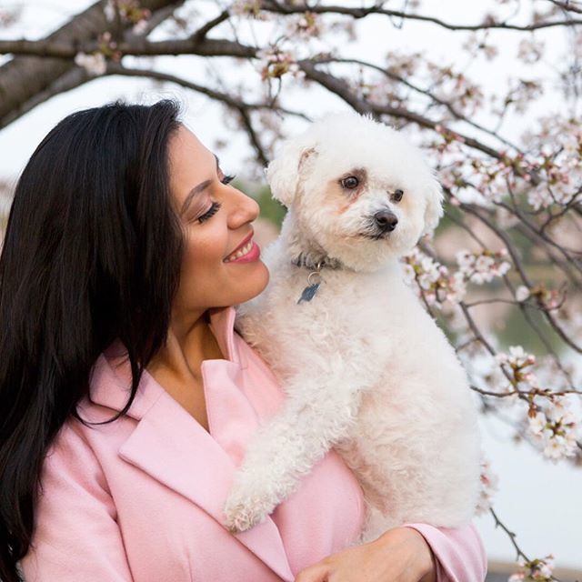 FuzzypantsPhoto's tweet photo. Who will I see at the #CherryBlossom minis on Saturday?? Need a spot? Booking link in bio. #happySpring #tidalBasin #dcDogs https://t.co/A3lzyBkipp
