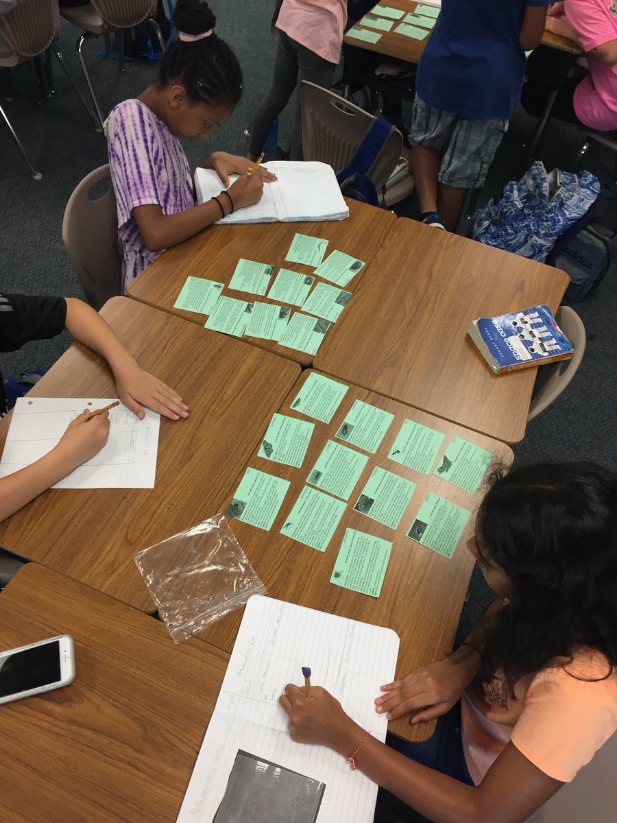 ChristyHuse's tweet photo. Deciding if insects undergo complete or incomplete metamorphosis #twehowl #chattyclass https://t.co/dAUrXLchu7