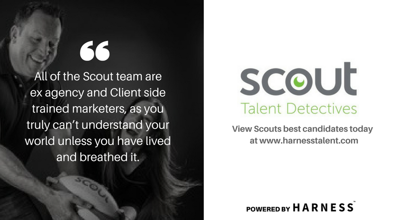 Harnesstalent's tweet photo. Wish you could see the best candidates, from the best recruiters only?
 
You can, and now we welcome our newest member, @Scout4Talent all ex-marketing agency professionals. Visit them at https://t.co/MF2piJsVij or view their best candidates at https://t.co/KP8CxQGOen today, free! https://t.co/ctAHdBjEiF