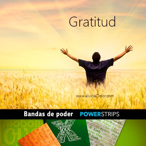 BandasdePoder's tweet photo. Sabías que AGRADECER 🙏🏽🙏🏽por lo que tienes, mejora tu sistema INMUNE, protege tu CORAZÓN❤️, y puede llevarte a DORMIR mejor?

Expresa tu agradecimiento: Toma dos minutos para agradecer a los que te rodean por lo que hacen. No sólo te hará más feliz y agradable, también a… https://t.co/Ul0sAHyPaq