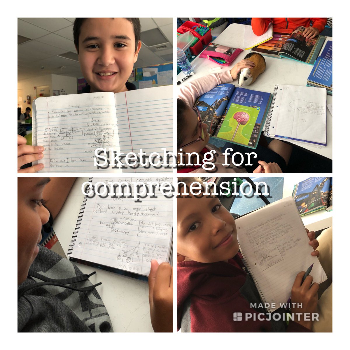 mrs_rohrbacker's tweet photo. #sketch2comprehend #petlearning @mrs_rohrbacker @WoodbridgeElem @insearchofbees https://t.co/YkXlUmHDr5