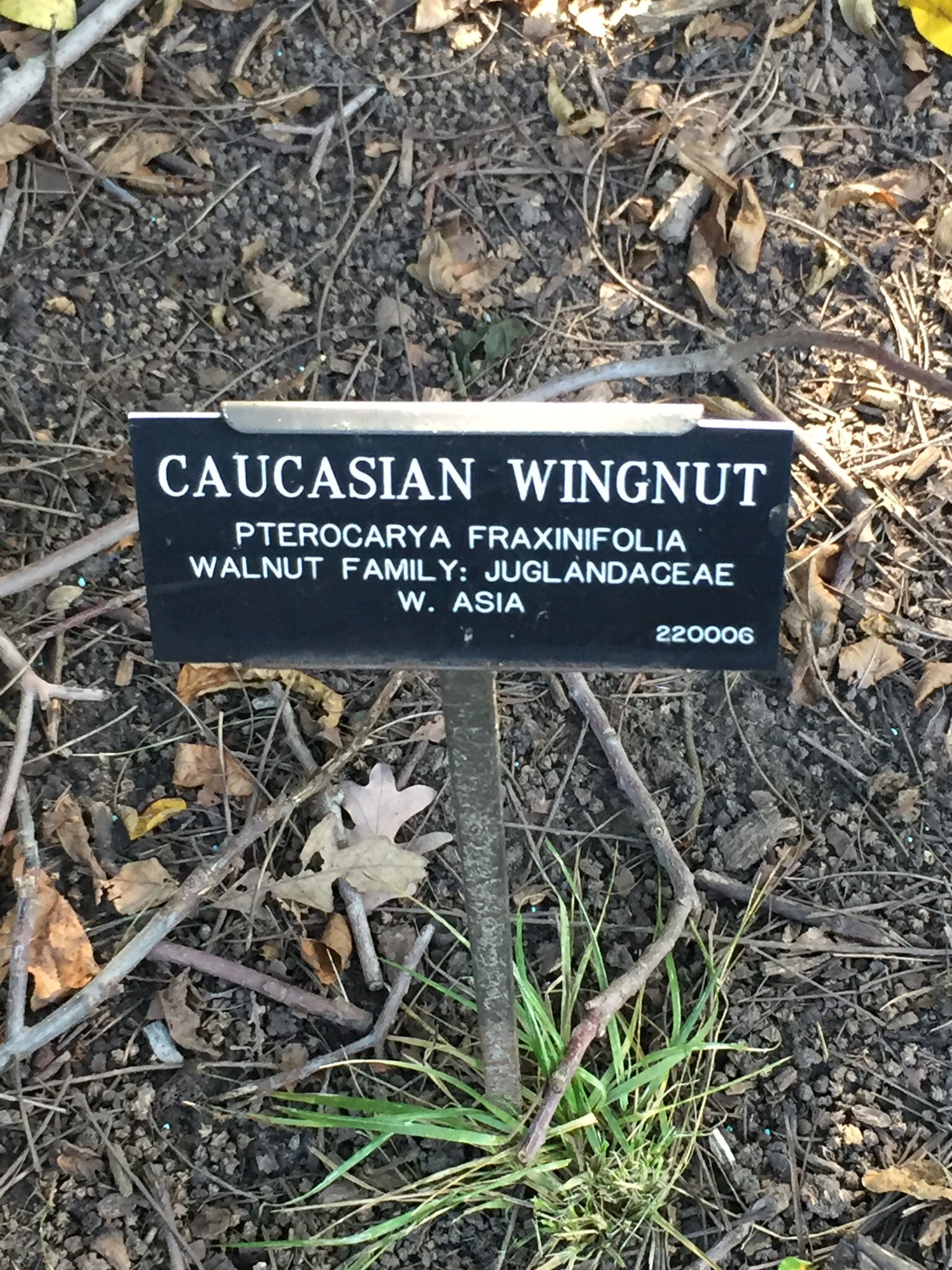 DalneTtV4AEOtTj.jpg:large