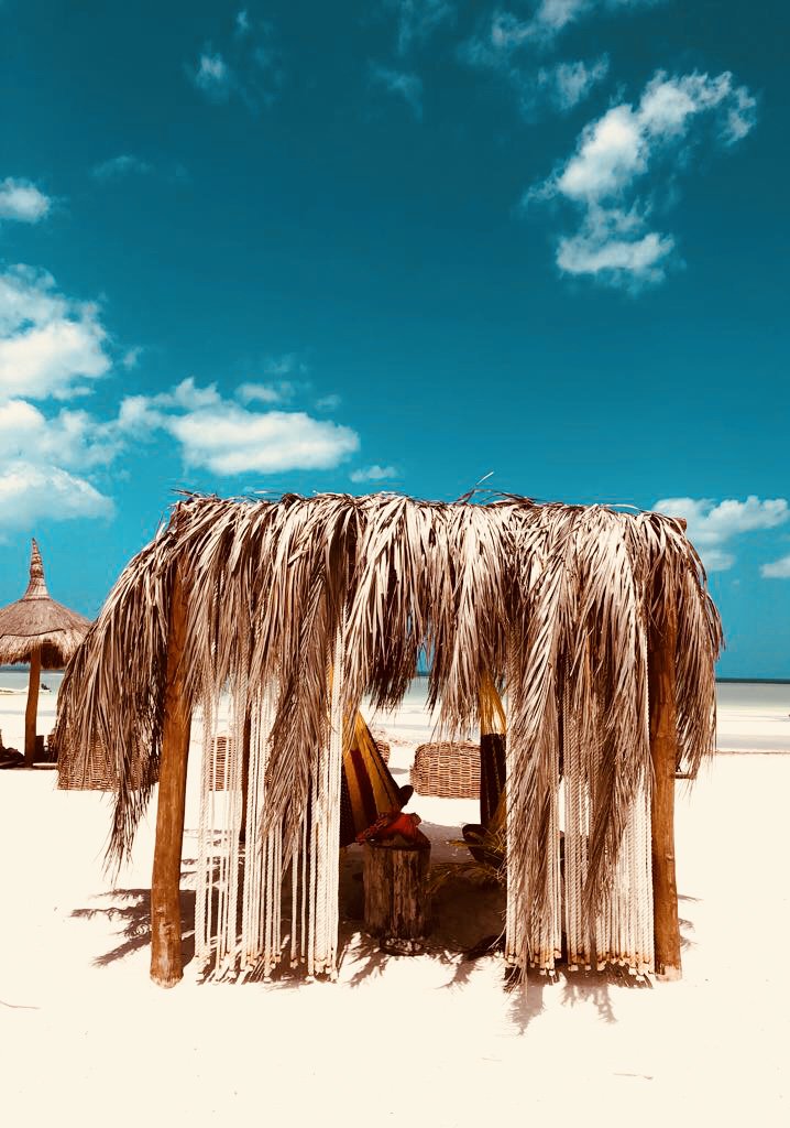 Love is the path I walk with gratitude 🙏 #casasandra #sercasasandra #sercollection #casasandraboutique #beach #beachlife #goodday #sun #hammock #hammockcommunity #palapa #luxuryhotel #caribbeanisland #holbox #mexico