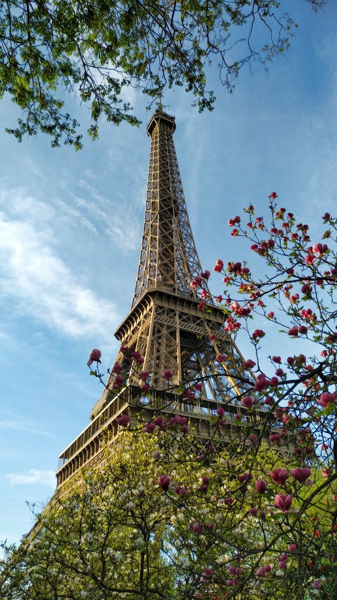 Eiffelturm Twitter Search