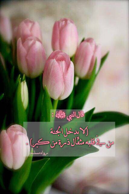 thekrapp's tweet photo. عن النبي ﷺ  أنه قال: 

(لا يدخل الجنة من في قلبه مثقال ذرة من كبر).

رواه مسلم 

#ذكر
https://t.co/32XdVDW2h8 https://t.co/WUrmib7pX6