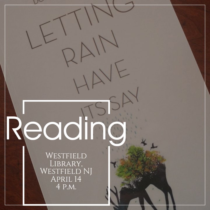 DonnaBaierStein's tweet photo. #JustLaunched
#tiferetjournal #poetry reading #poets #westfieldNJ #Westfieldlibrary https://t.co/f3wOwGz4JD