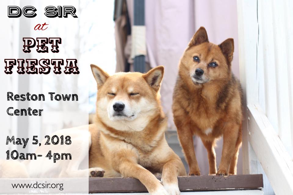Got #CincodeMayo plans? You do now! Join us at <a href="/RestonTwnCenter/">Reston Town Center</a>   for the annual #PetFiesta!