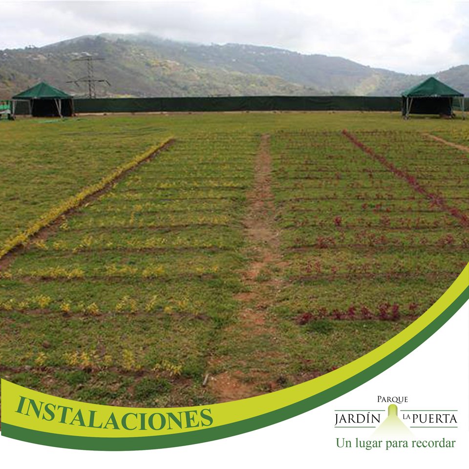 Parquelapuerta's tweet photo. Telfs: (0212) 9420748 / 9420514 / 5150413 
https://t.co/IrLSVbvyPl
#ParqueJardín #Cementerio #Servicios #Cremar #Preventa #Previsión #Cremación #Baruta https://t.co/6PpgqejF3K