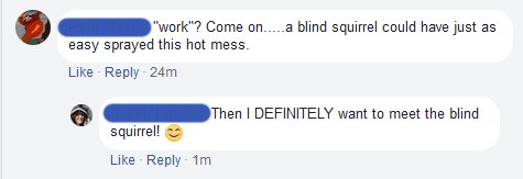 FB comment: "work"? Come on......a blind squirrel could just have easy sprayed this hot mess.
My reply: Then I DEFINITELY want to meet the blind squirrel!