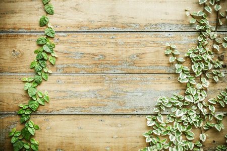 carlosansari_96's tweet image. #AndroidAr, #AugmentApplication Sci-fi &apos;smart glasses&apos; will soon be a reality, say VR bosses goo.gl/4fEAJy