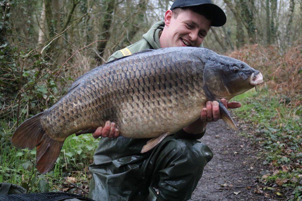 DannyJono's tweet photo. New P.B 31.2 lb Sandhurst common 😁😁 🎣🎣 #northernbaitsuk #vipertackle #sandhurstlake #northernbaits @ViperTackleLTD @NorthernBaits https://t.co/NgmkRcegXU
