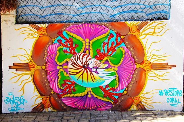 Sparkx's tweet photo. I love this #restorecoral mural art found in #cozumel. I stumbled across this when wandering about. I love these vibrant colours 😍 the project was undertaken to raise awareness of the need to protect coral reefs https://t.co/c2j4Hxkfoz https://t.co/JN05I90s0e