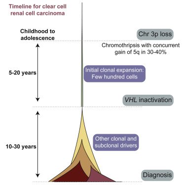 book human population genetics 2012