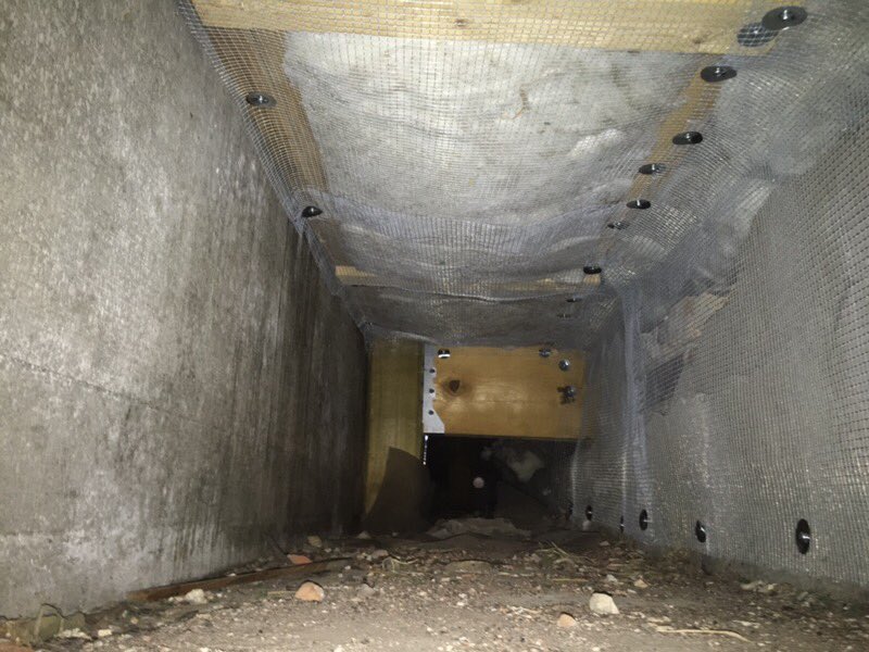 Small confined spaces.  Yeah we do that too at <a href="/OntWildlife/">Ontario Wildlife Removal</a> #follow our adventures over there to see what’s inside this crawl space #wildlife #wildliferemoval #Ontario #Brantford #Brant