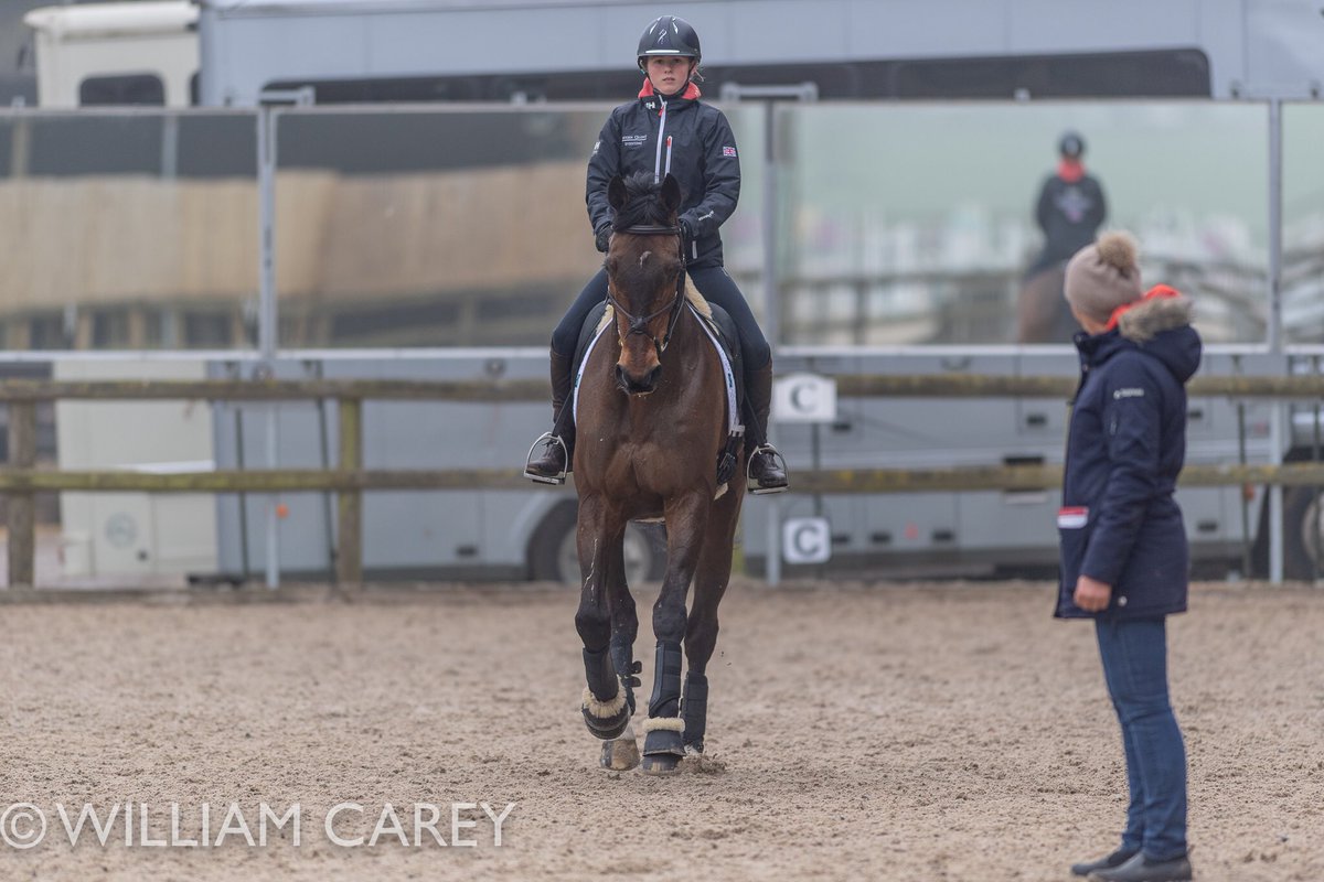 MHS Cooley Flash &amp;Kalico had flying lessons &amp; Brendonhill Doublet a strutting lesson from Caroline Moore🤞🏼we can go Eventing soon <a href="/wescarey/">William Carey Photography</a>